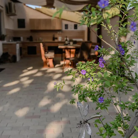 Marika Vendeghaza 3*