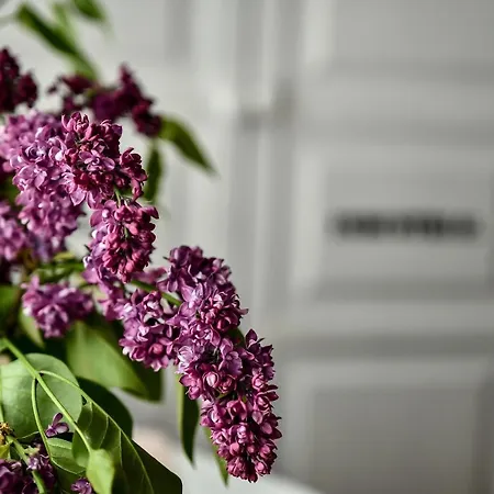 Marika Vendeghaza Penzion